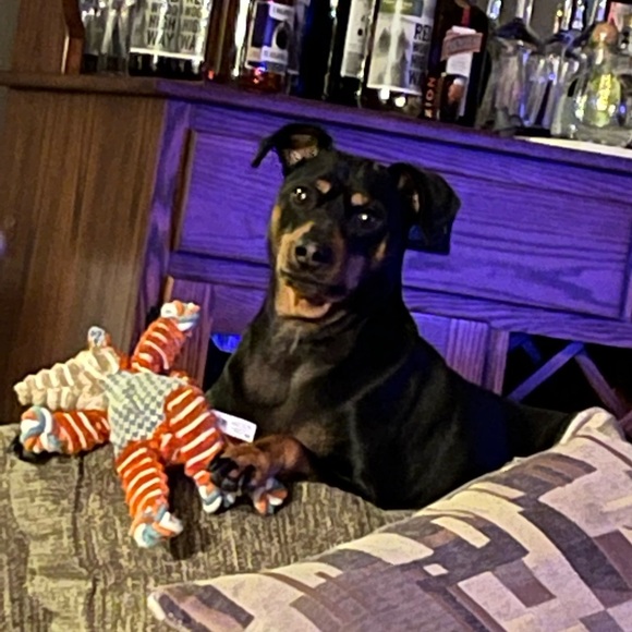 Family and friends - Picture 9 of 16